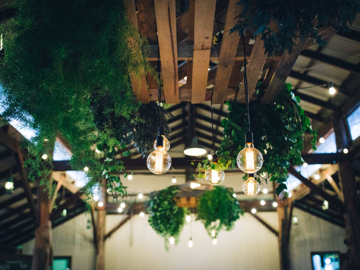 Edison Bulbs and Custom Ceiling Feature at Feast in the Forrest