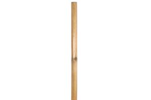 Photograph of Bamboo Pole