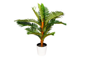 Photograph of Artificial Greenery - Fern Tree in White Pot