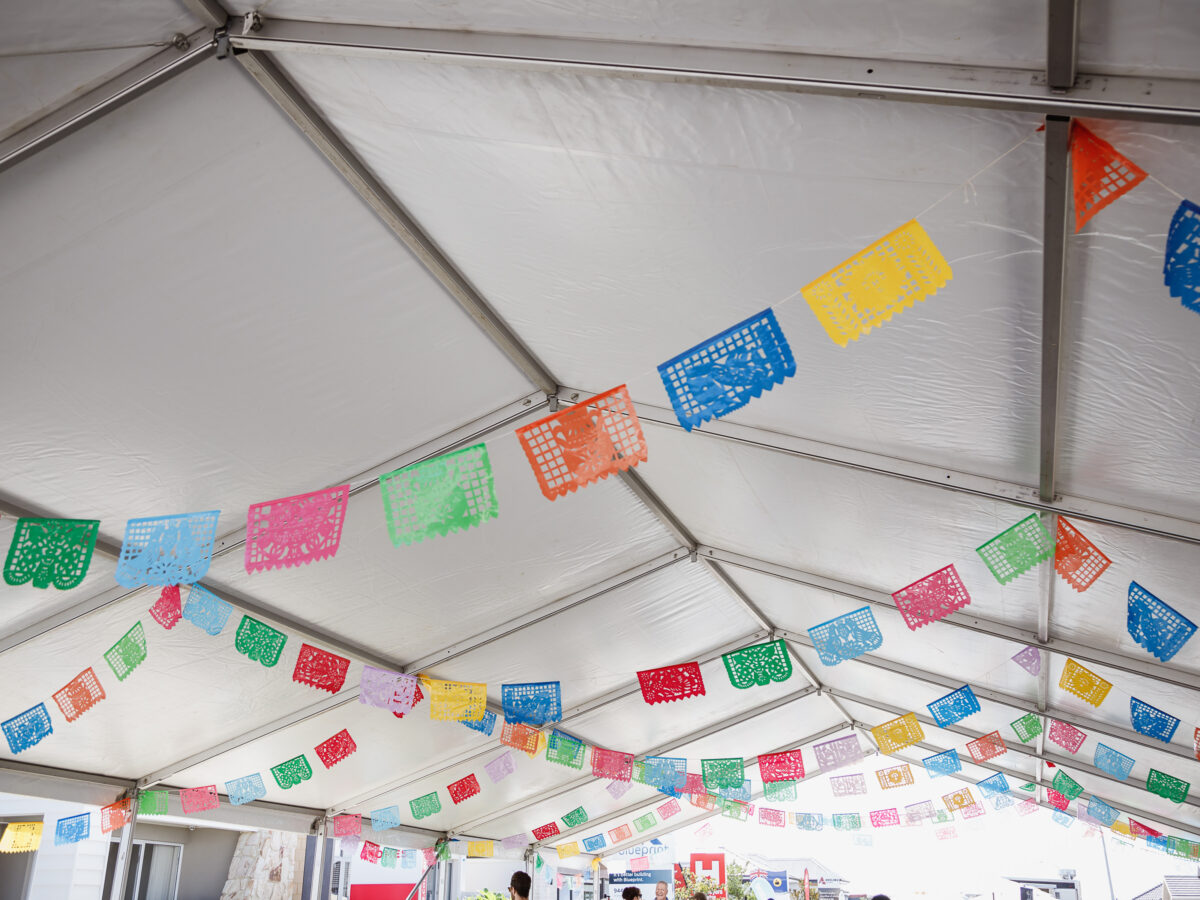 Colourful Mexican Bunting
